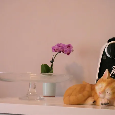 Kety Appartement